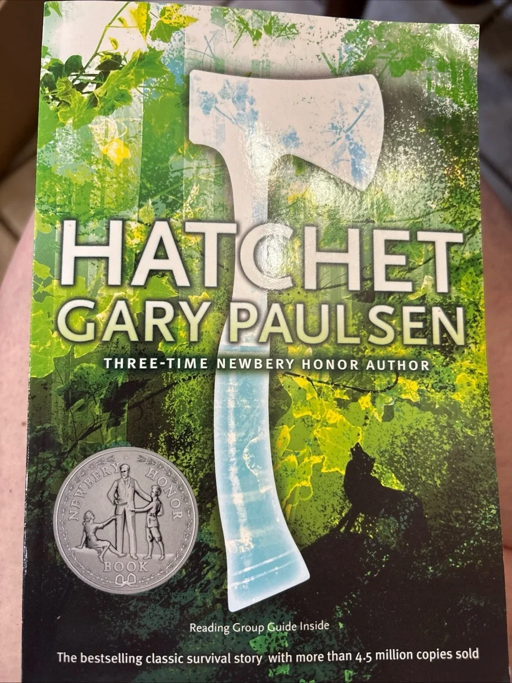 Scholastic Hatchet Book Cover - Green, White, Blue